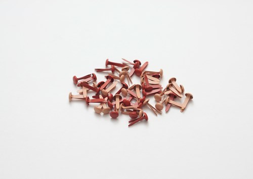 Набор брадс Scrapberrys "красные",50 штук