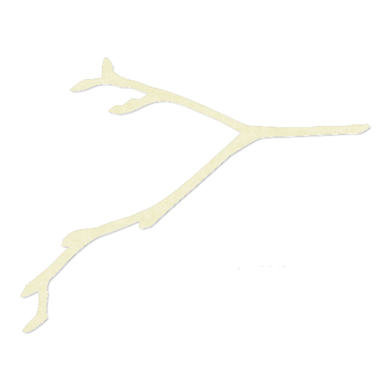 Чипборд "Ветка с почками"