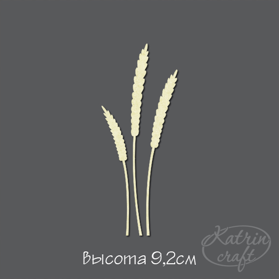 Чипборд "Аржанец маленький"