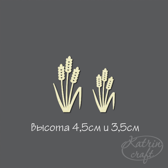 Чипборд "Полевые злаки 2шт"