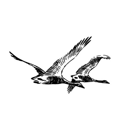 Штамп Stylish Stamps "Летящие гуси"