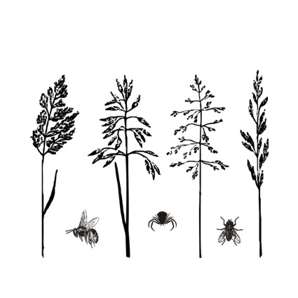 Штамп Stylish Stamps "Полевые травы "Мятлик""