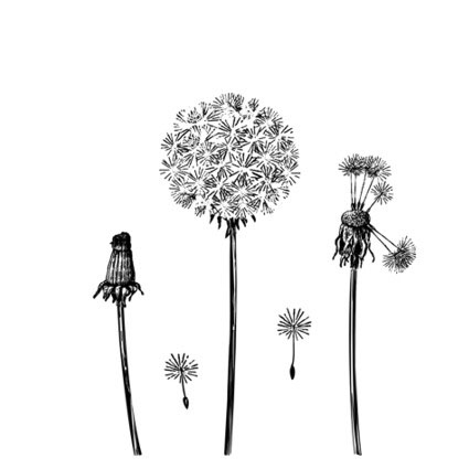 Штамп Stylish Stamps "Одуванчики"