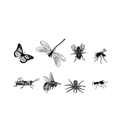 Штамп Stylish Stamps "Насекомые"