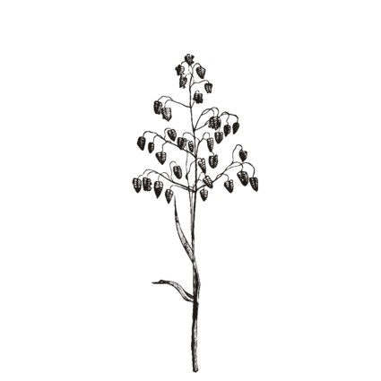 Штамп Stylish Stamps "Трясунка № 01"