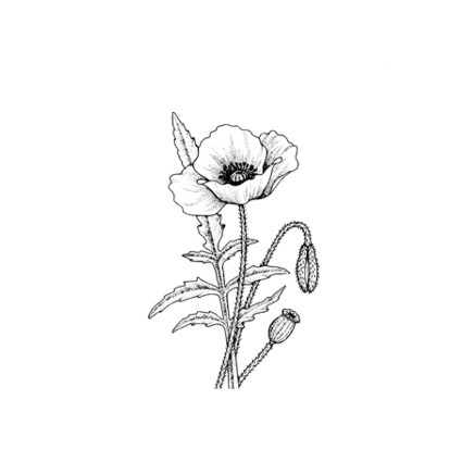 Штамп Stylish Stamps "Мак"