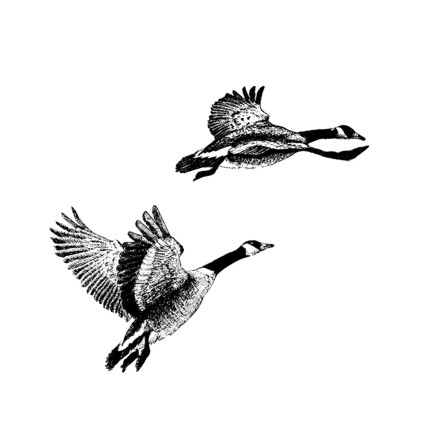 Штамп Stylish Stamps"Летящие Казарки"