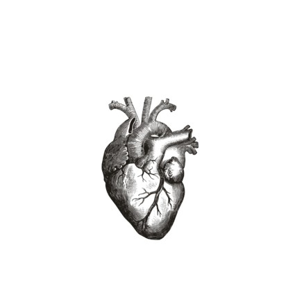 Штамп Stylish Stamps"Сердце"