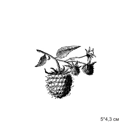 Штамп Stylish Stamps"Малина"