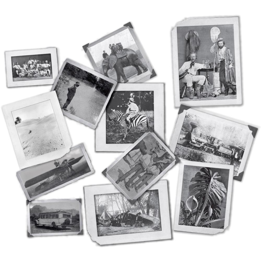 Набор фото-карточек 7 Gypsies "Serengeti"