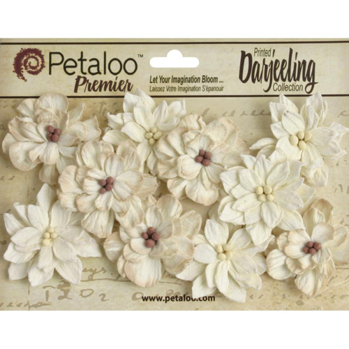 Набор цветов Petaloo "Darjeeling", кремовый