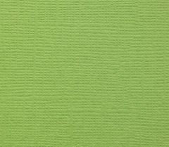 Фактурный картон Scrapberrys 30 х 30 см .Цвет свежая зелень.