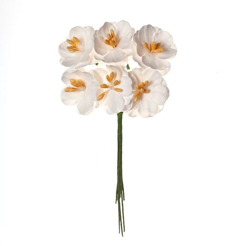 Цветы вишни кудрявые Scrapberrys, цвет ,белый