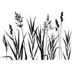 Штамп "Полевые травы"