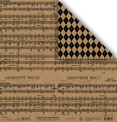 Бумага двусторонняя MrPainter PSN1310-5