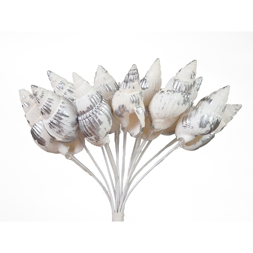 Букет из ракушек Scrapberrys, цвет серебряный