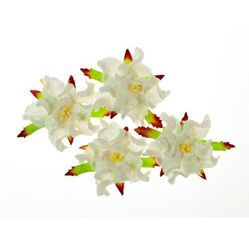 Набор гардений Scrapberrys 4шт диаметр 5см, цвет белый