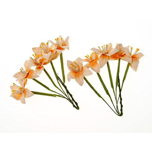 Лилии на стебле Scrapberrys, СЛИВОЧНО-ПЕРСИКОВЫЕ