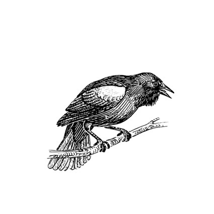 Штамп Stylish Stamps "Ворона"