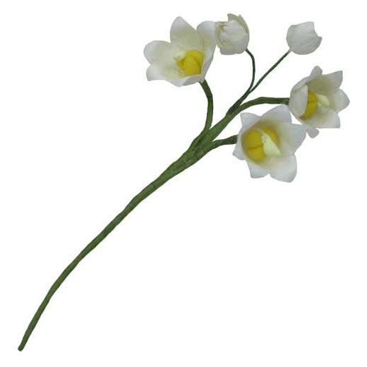 Ландыш. Цвет белый