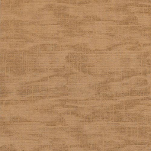 Фактурный картон Scrapberrys 30 х 30 см .Цвет капучино