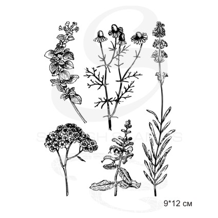 Штамп Stylish Stamps "Лаванда, душица, шалфей"