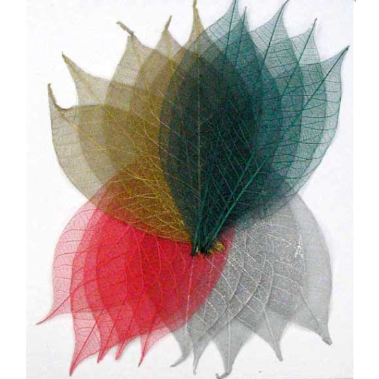 Скелетированные листочки 20 шт. Цвет рождественский микс.