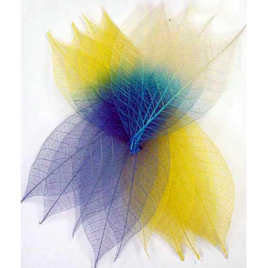 Скелетированные листочки 20 шт. Цвет мальчик микс.