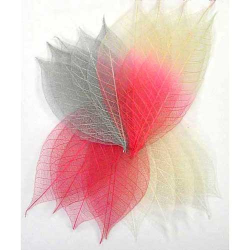 Скелетированные листочки 20 шт. Цвет Валентин микс.