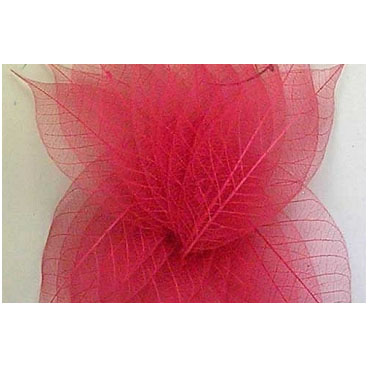 Скелетированные листочки 20 шт. Цвет красный