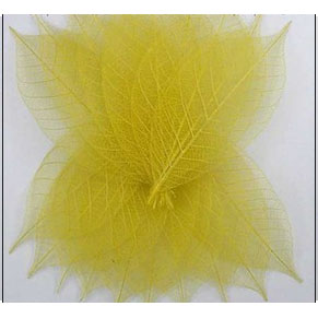 Скелетированные листочки 20 шт. Цвет желтый