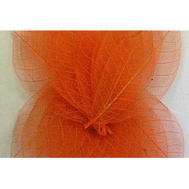 Скелетированные листочки 20 шт. Цвет оранжевый