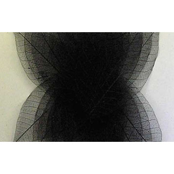 Скелетированные листочки 20 шт. Цвет чёрный