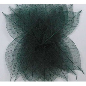 Скелетированные листочки 20 шт. Цвет тёмный зелёный