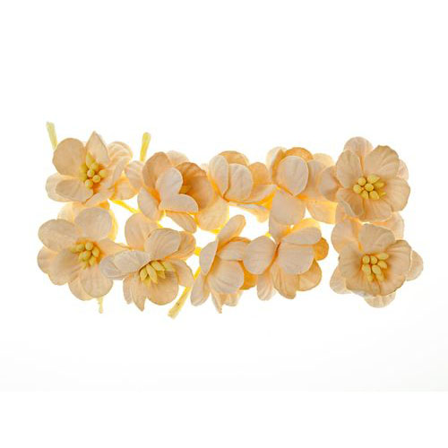 Цветы вишни Scrapberrys, Кремовый