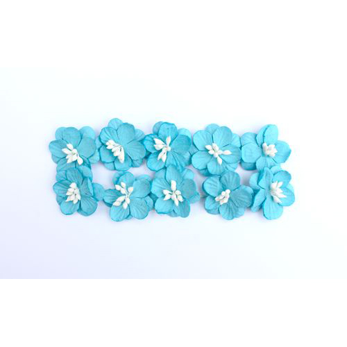 Цветы вишни Scrapberrys, бирюза