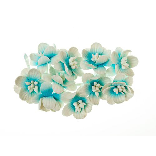 Цветы вишни Scrapberrys, небесно-белый