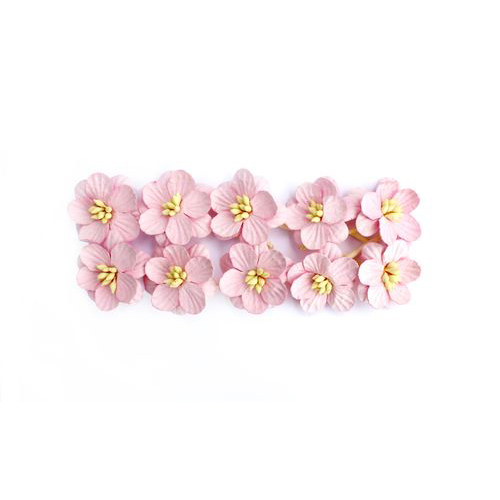 Цветы вишни Scrapberrys, светло-розовый