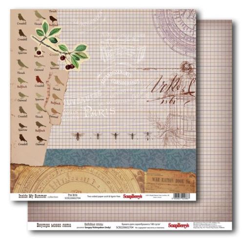 Бумага Scrapberrys "Внутри моего лета", Свободные птицы (SB170-2)