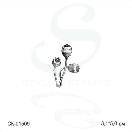 Штамп Stylish Stamps "Маковые коробочки"