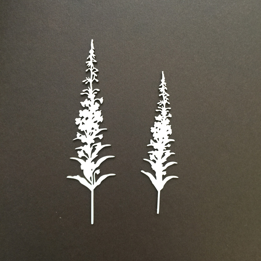 Чипборд "Иван-чай"