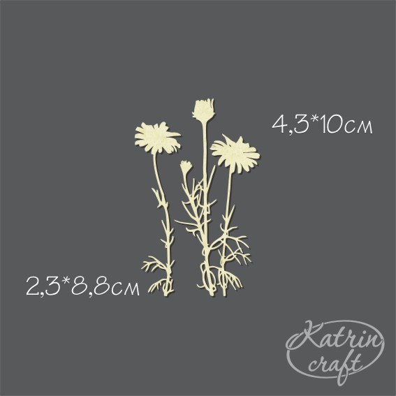 Чипборд "Ромашки садовые"