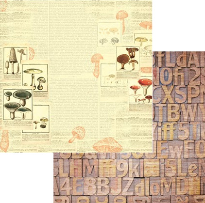 Бумага Scrapberrys "В лесу" Справочник грибника (SB500)