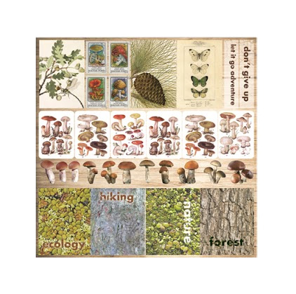 Бумага Scrapberrys "В лесу" В поход за грибами 1 (SB503)