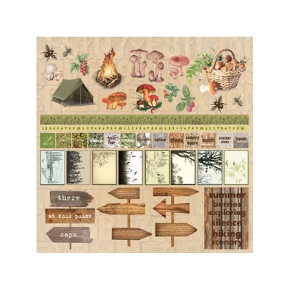 Бумага Scrapberrys "В лесу" В поход за грибами 2 (SB504)
