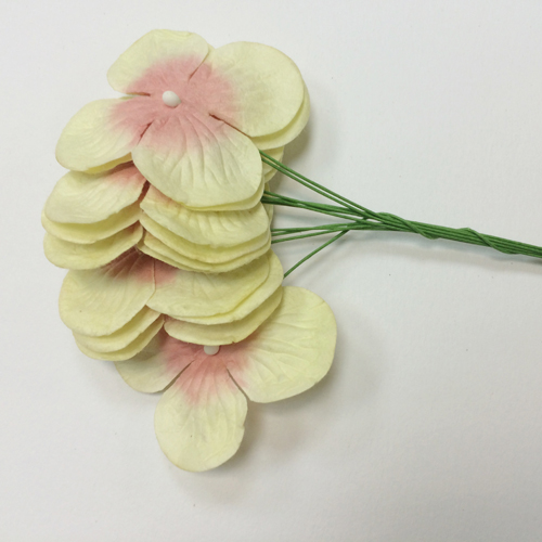 Букет гортензий 10 шт. Цвет салатово-розовый