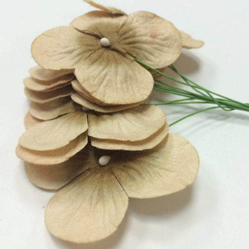 Букет гортензий 10 шт. Цвет бежевый.