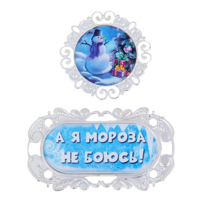 Металлические украшения Артузор "Я мороза не боюсь"