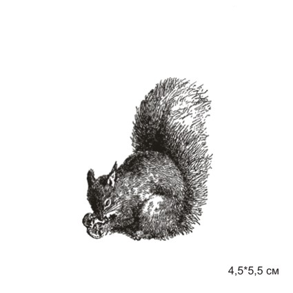 Штамп Stylish Stamps "Белка №2"