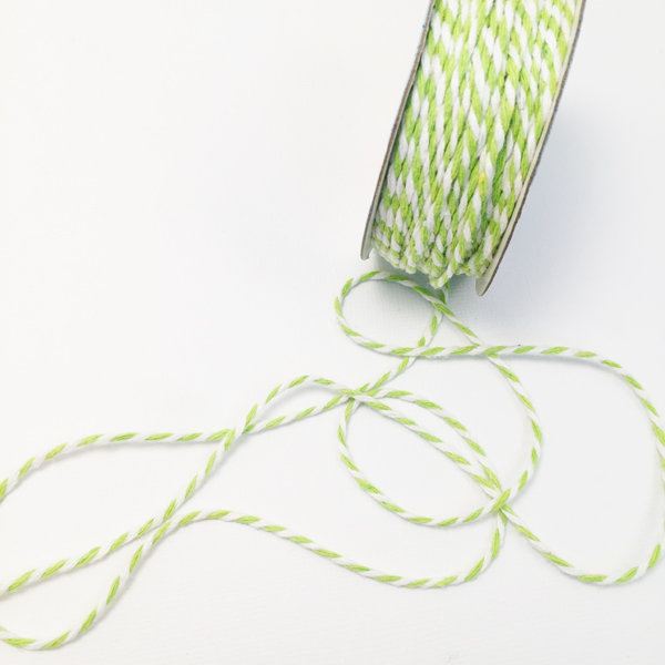 Шнур двухцветный 2 мм Gamma, Цвет салатовый/белый